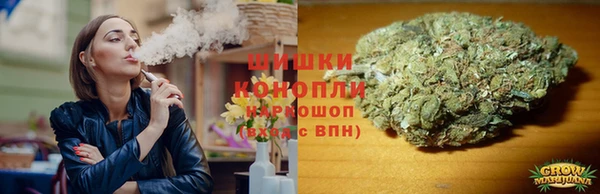 прущие грибы Инта