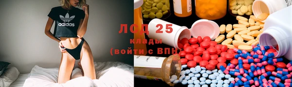 прущие грибы Инта