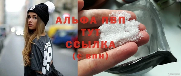 прущие грибы Инта