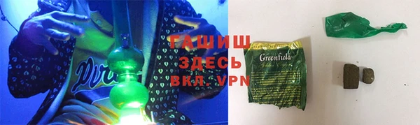 прущие грибы Инта