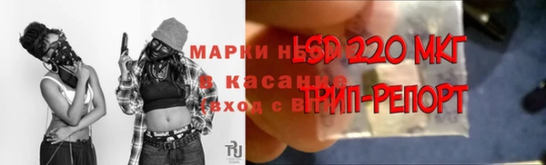 крисы Инсар