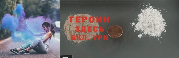 прущие грибы Инта