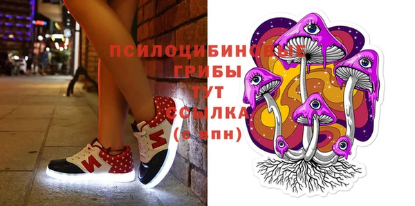 крисы Инсар