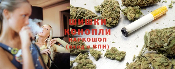 крисы Инсар