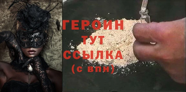 прущие грибы Инта