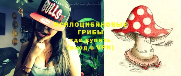 крисы Инсар