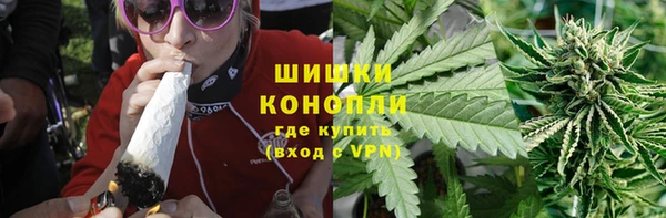 прущие грибы Инта
