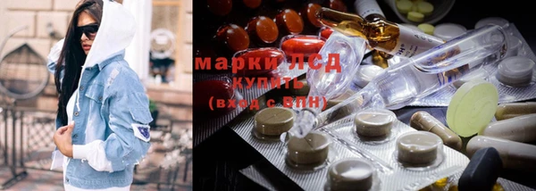 дмт Каменка