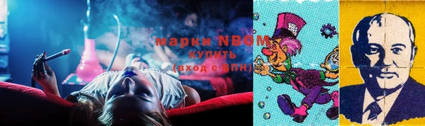прущие грибы Инта