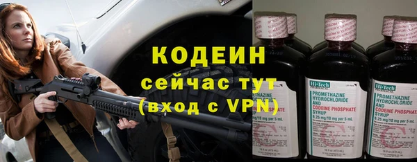 прущие грибы Инта